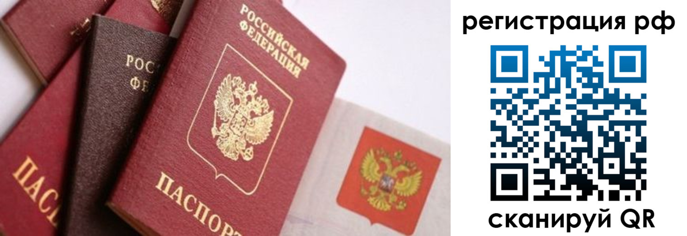 прописка гарантия в Талице